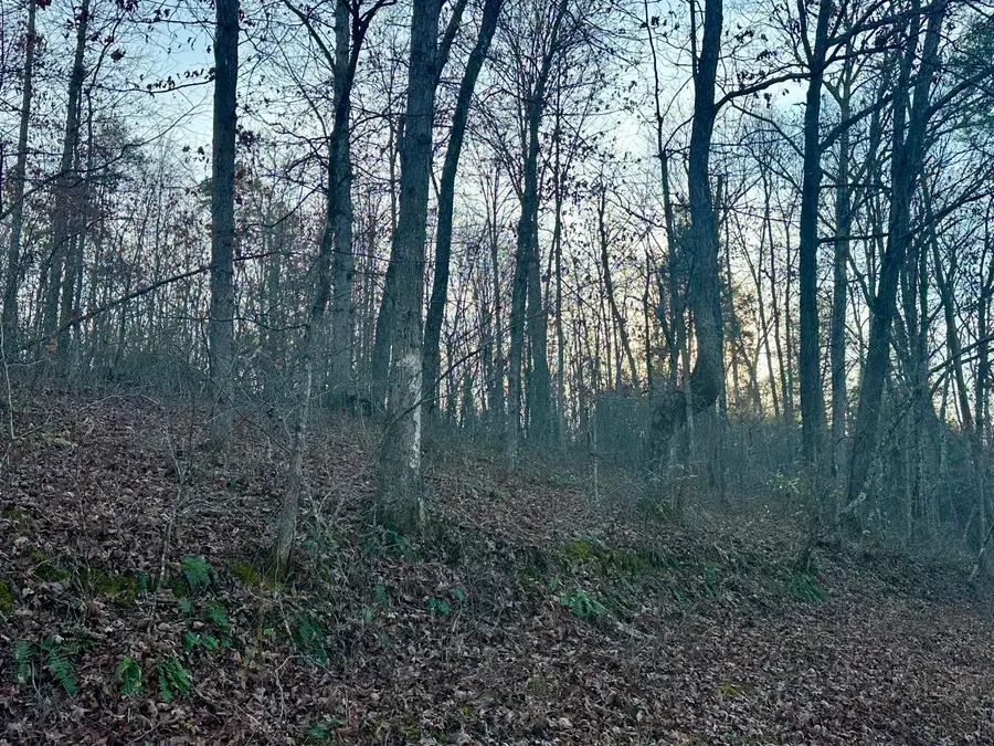 Lot 15 Hensley Road, East Bernstadt, KY 40729 - Image #3