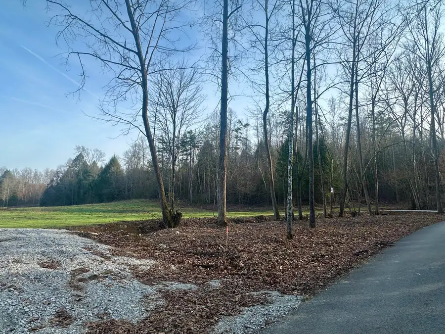Lot 4 Radford Road, East Bernstadt, KY 40729 - Image #3