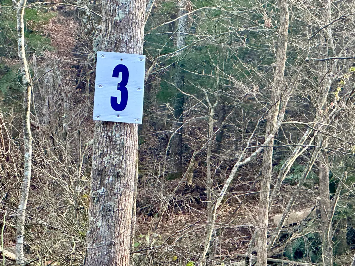 Lot 3 Radford Road, East Bernstadt, KY 40729 - Image #1