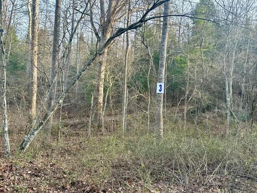Lot 3 Radford Road, East Bernstadt, KY 40729 - Image #3