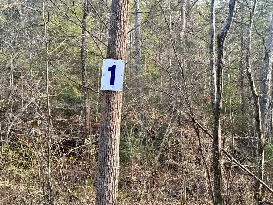 Lot 1 Radford Road, East Bernstadt, KY 40729 - Image #2