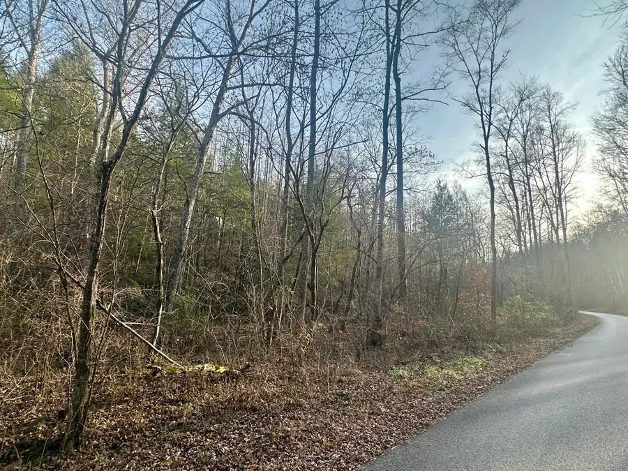 Lot 1 Radford Road, East Bernstadt, KY 40729 - Image #3