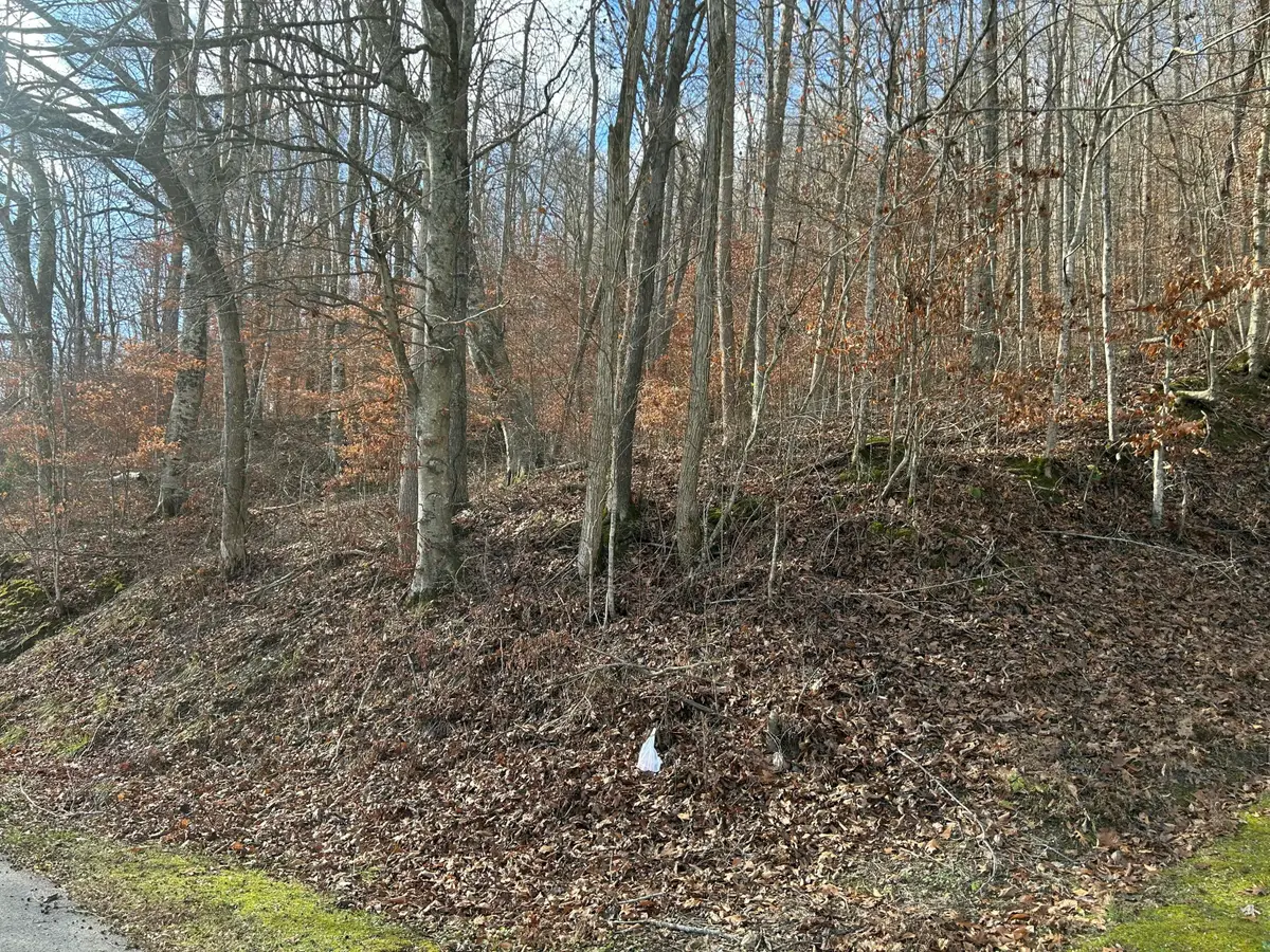 TBD North Fork Rd, Stanton, KY 40380 - Image #1