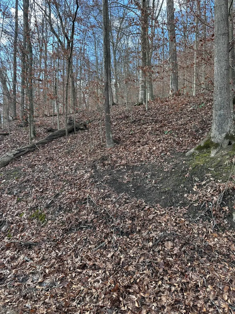 TBD North Fork Rd, Stanton, KY 40380 - Image #2