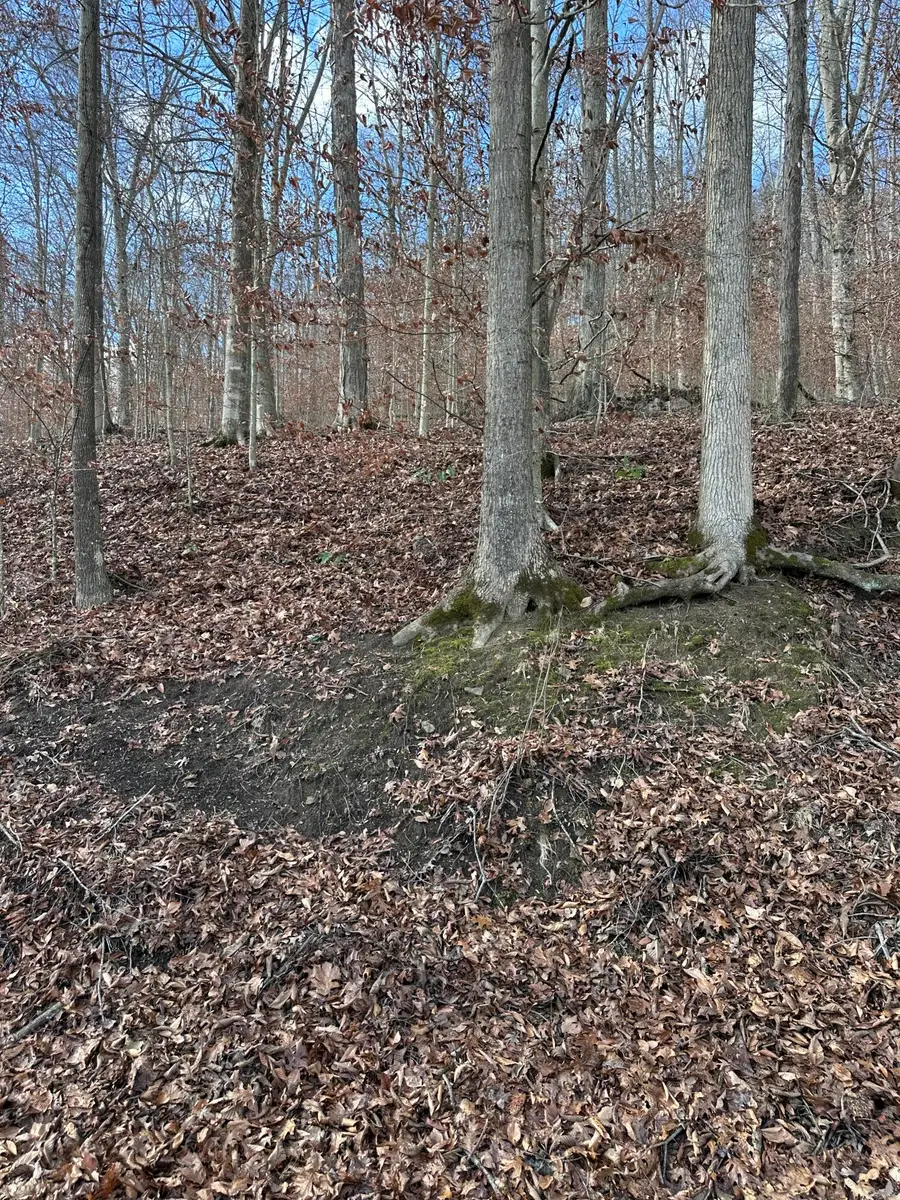 TBD North Fork Rd, Stanton, KY 40380 - Image #3