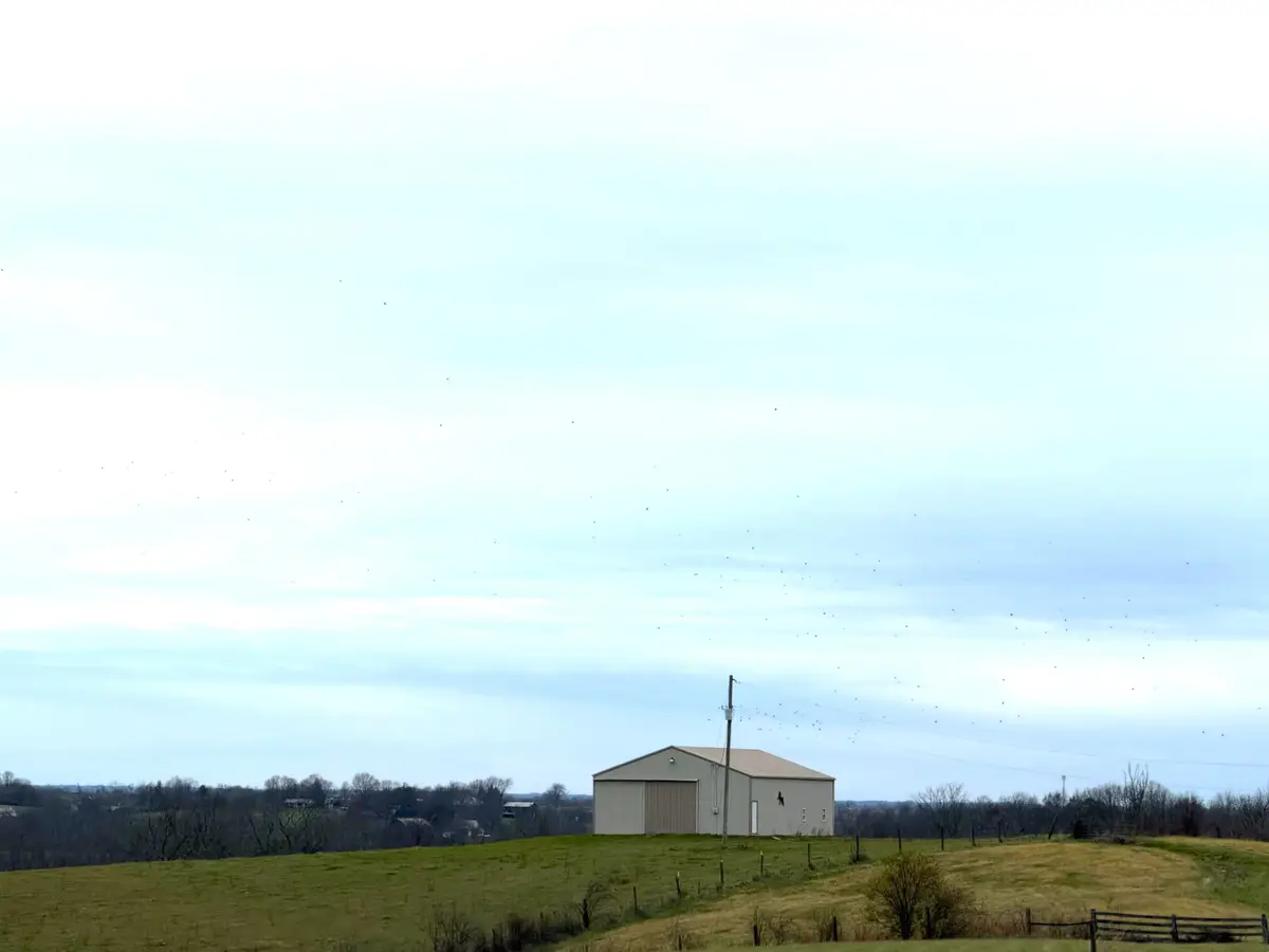 Tract 17 Waits Road, Cynthiana, KY 41031 - Image #1