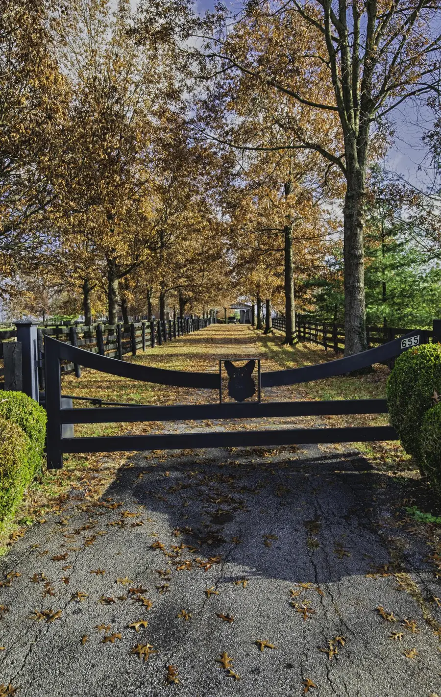 655 Jones Lane, Versailles, KY 40383 - Image #2