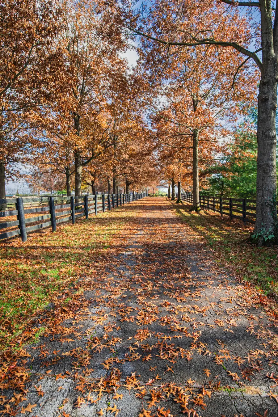 655 Jones Lane, Versailles, KY 40383 - Image #3