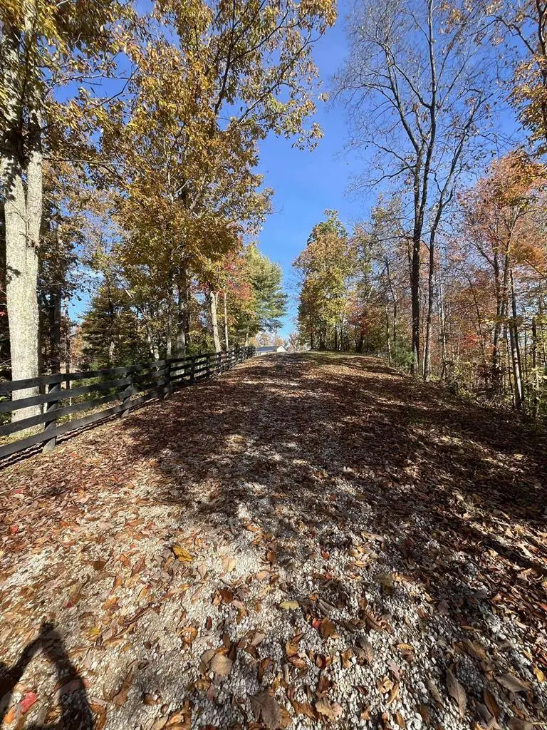 4 Grassy Hill Road, West Liberty, KY 41472 - Image #3