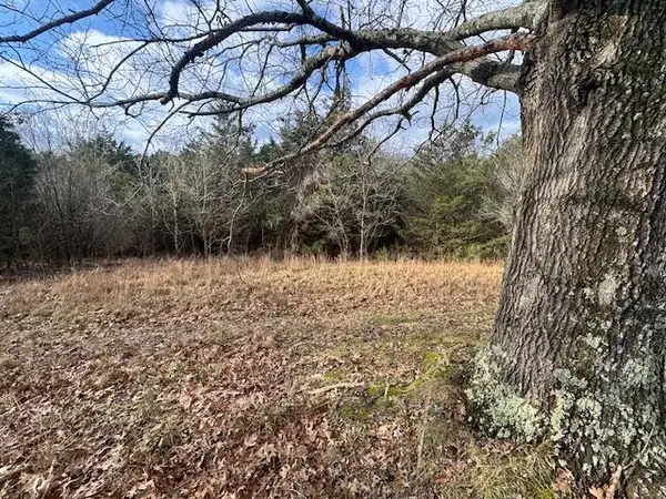 1080 Palmer Road, Mt Eden, KY 40046