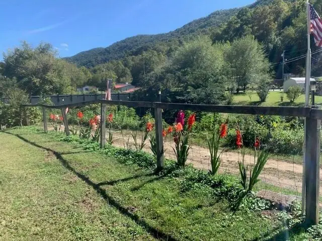 14 Old Jenson Hollow Road, Pineville, KY 40977 - Image #2