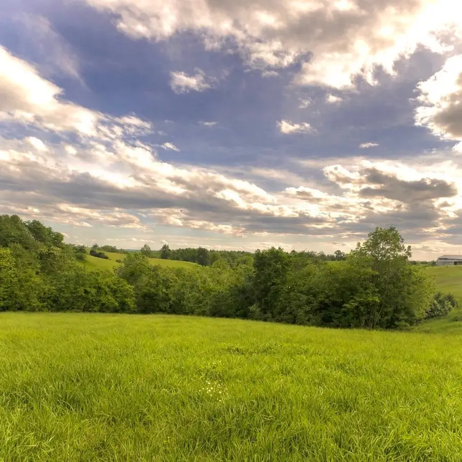 1580 Sardis Road Sardis Road, Mount Olivet, KY 41064 - #3