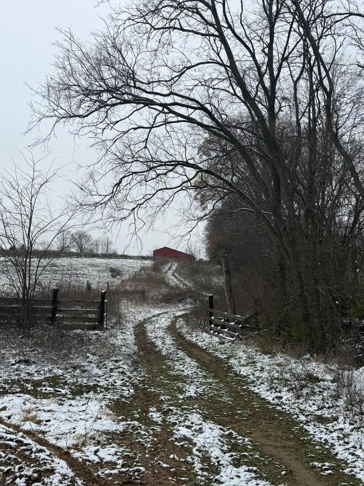 1013-B Salem Pike, Cynthiana, KY 41031 - Image #1