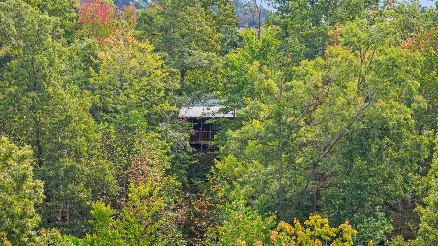 4445-2 Pine Grove Road, Means, KY 40346 - Image #2