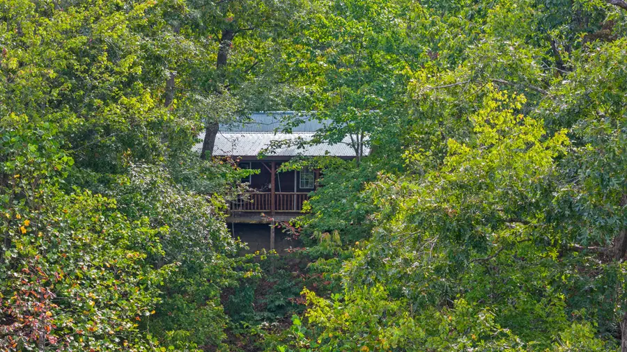 4445-2 Pine Grove Road, Means, KY 40346 - Image #3