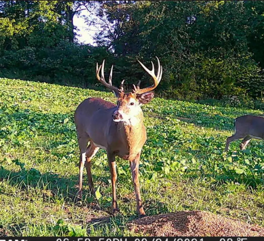 877 Fallis Run Road, Harrodsburg, KY 40330 - Image #2