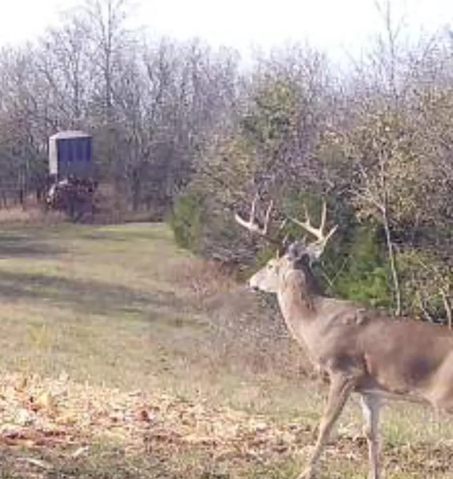 877 Fallis Run Road, Harrodsburg, KY 40330 - Image #3