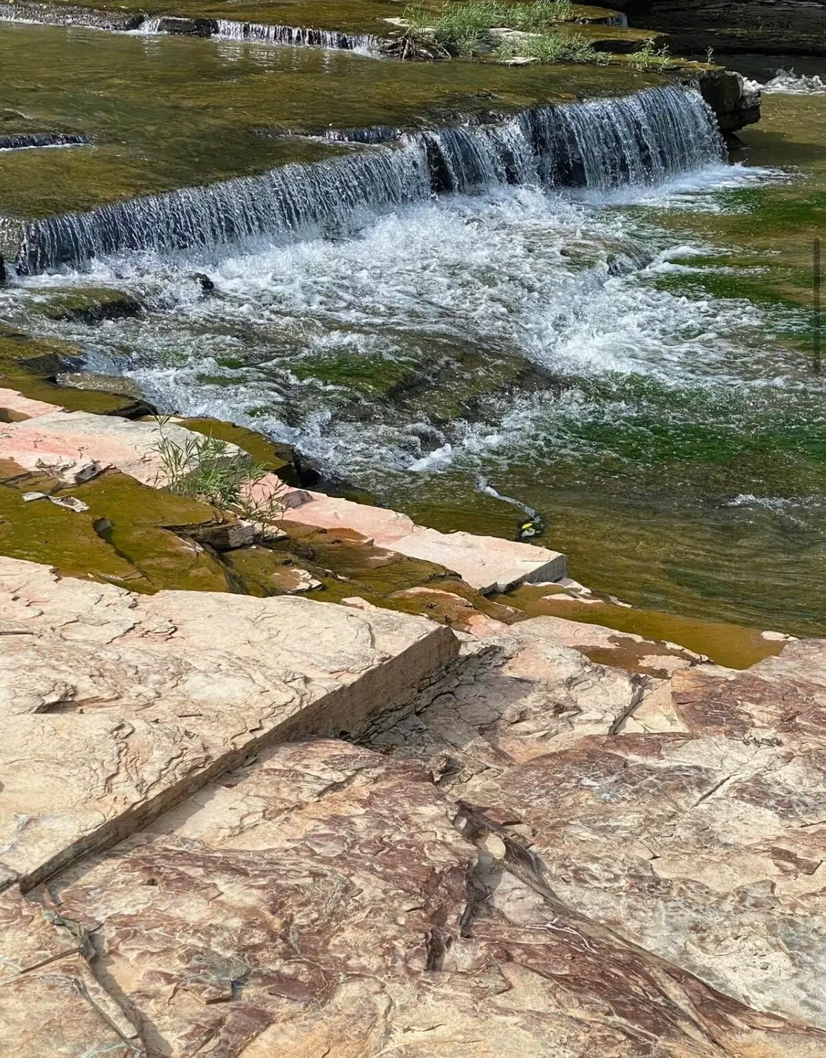 11.24 Hwy 3264, Science Hill, KY 42553 - Image #1