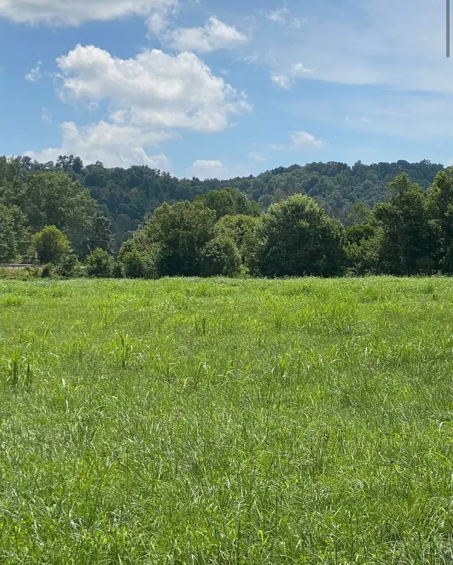 11.24 Hwy 3264, Science Hill, KY 42553 - Image #2