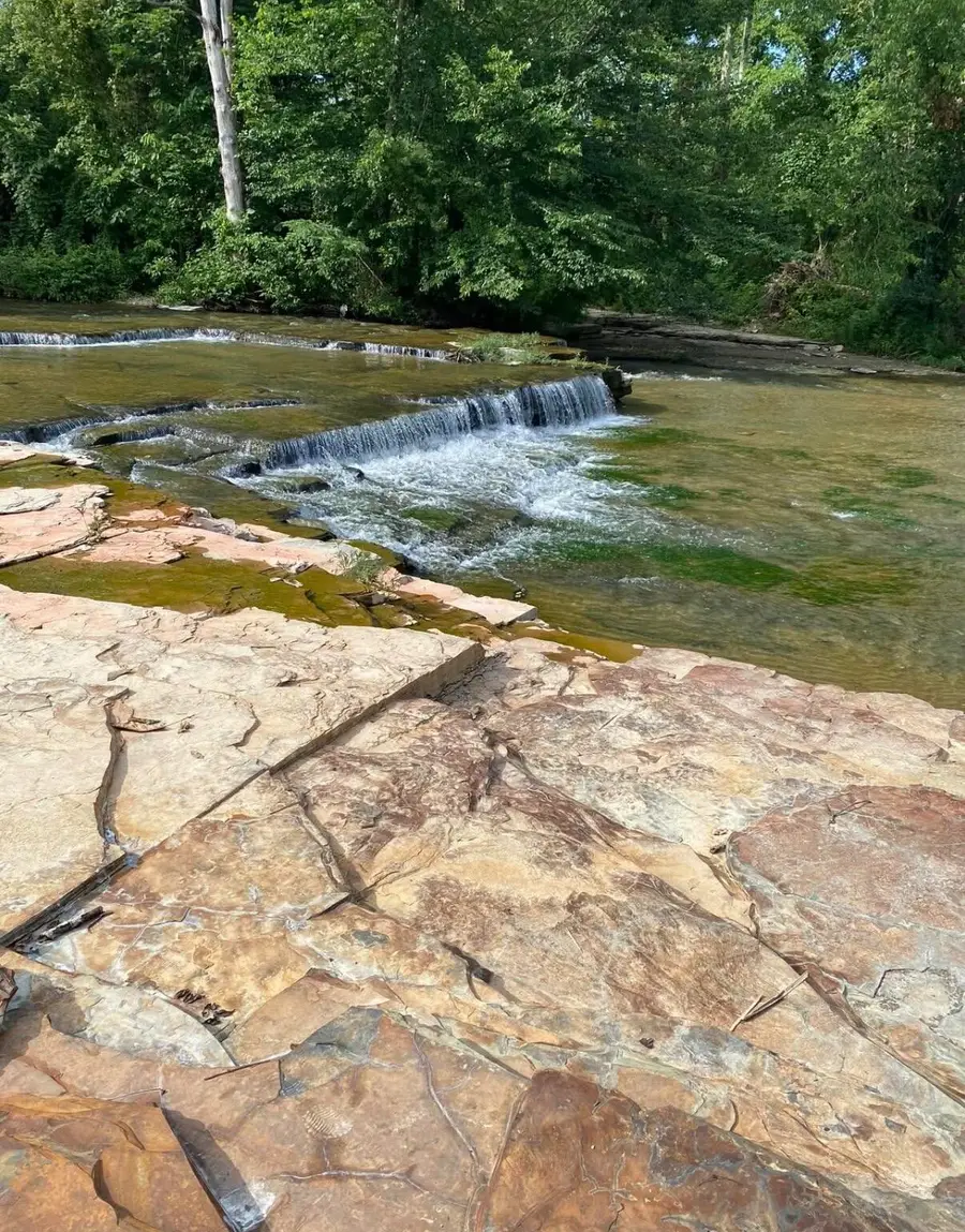 11.24 Hwy 3264, Science Hill, KY 42553 - Image #3