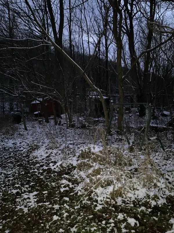 0 First Street, Vanceburg, KY 41179 - Image #3