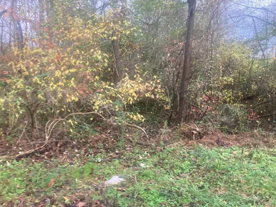 1056 Palisades Court, Burnside, KY 42519 - Image #3