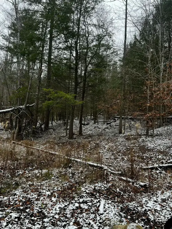 Lot 114 Paradise Mountain, Rogers, KY 41365