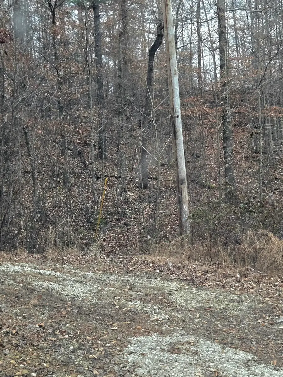Lot 114 Paradise Mountain, Rogers, KY 41365 - Image #2