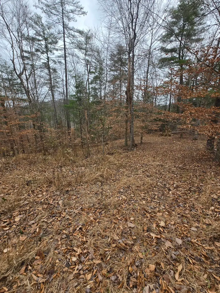 Lot 106 Sunset Valley, Campton, KY 41301 - Image #3
