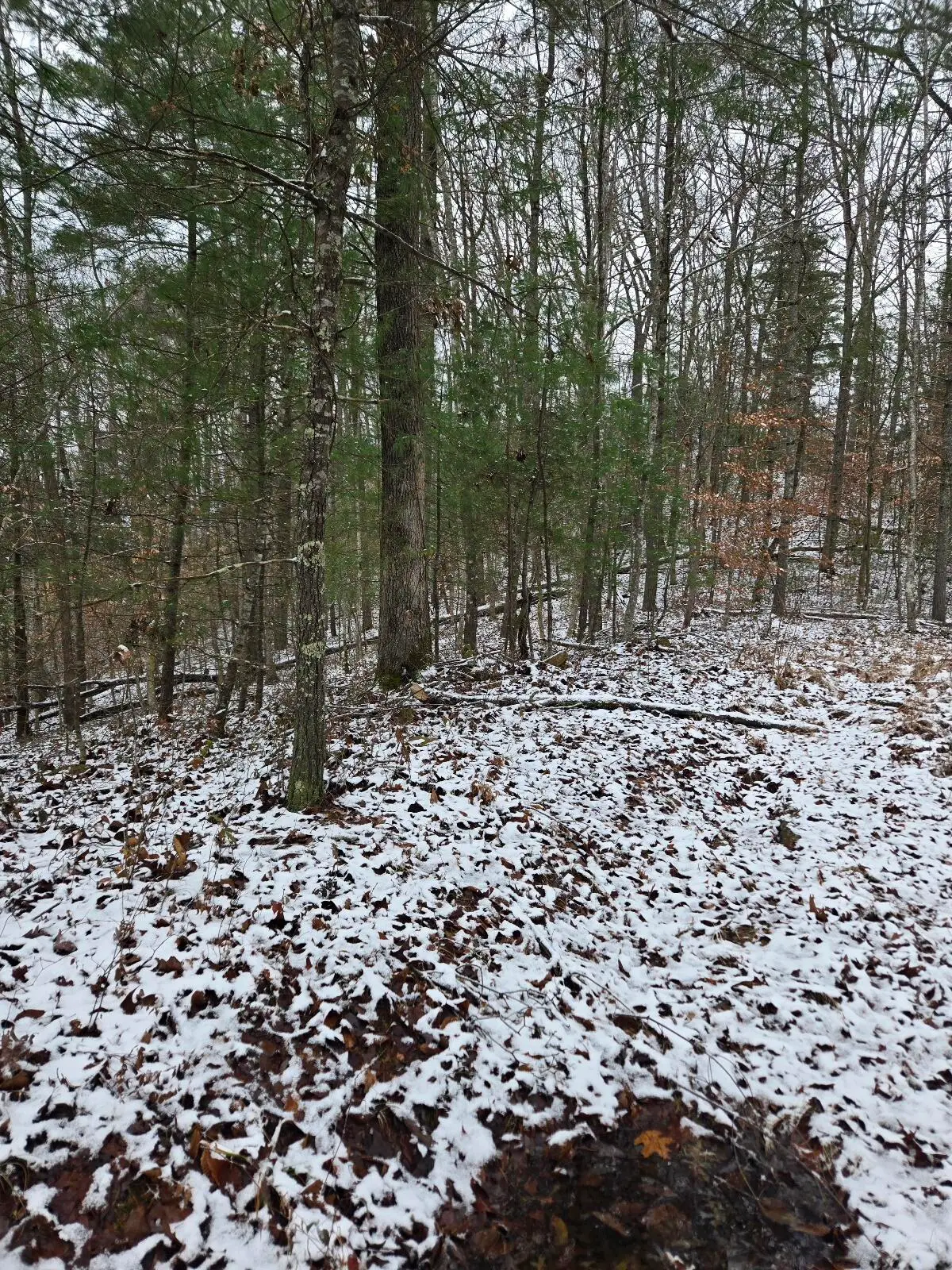 Lot 31 Sunset Ridge, Campton, KY 41301 - Image #1