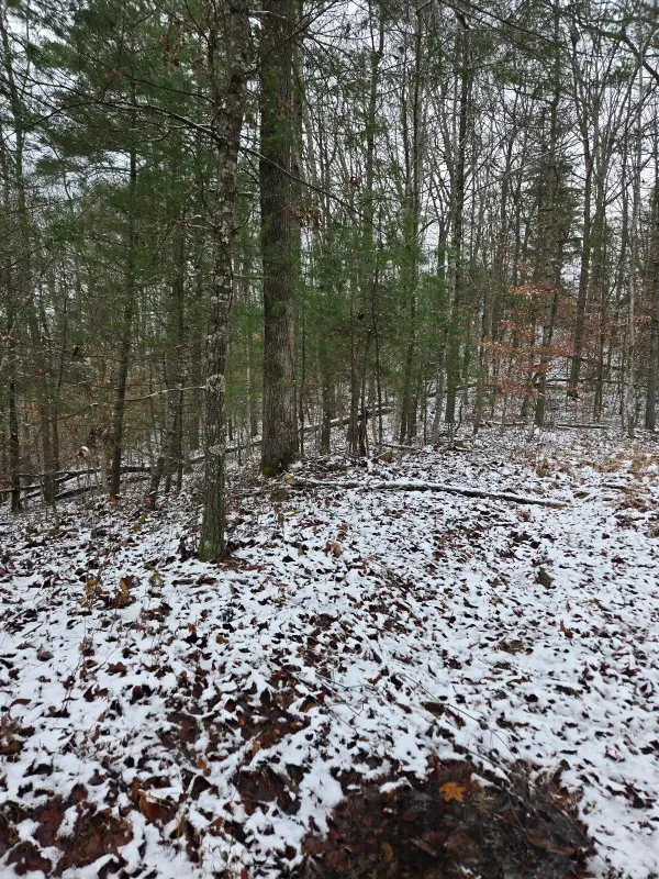 Lot 31 Sunset Ridge, Campton, KY 41301