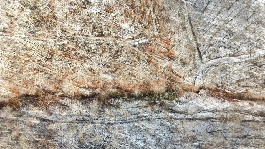 470 Little Bull Creek Road, Woollum, KY 40906 - Image #2