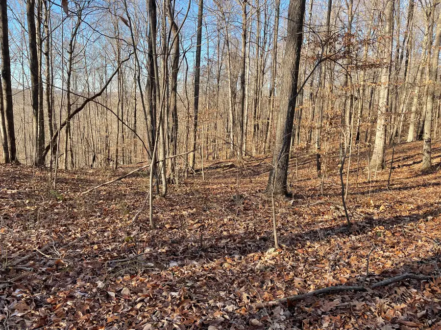 2111 Dixie Bend Road, Burnside, KY 42519 - Image #2