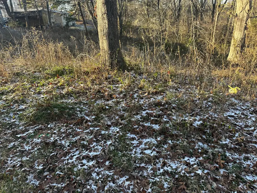 738 Maple Grove School Road, London, KY 40744 - Image #3