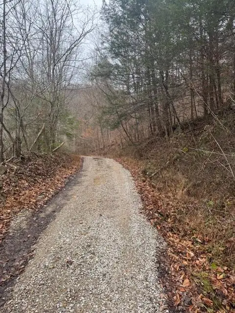 9999 Shottons Mtn, Helton, KY 40840