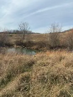 563 Moores Creek Greenhill Road, Annville, KY 40402