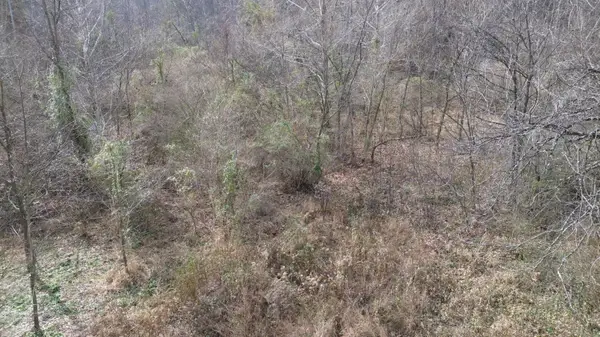 237A Meatscaffold Rd, Jackson, KY 41339