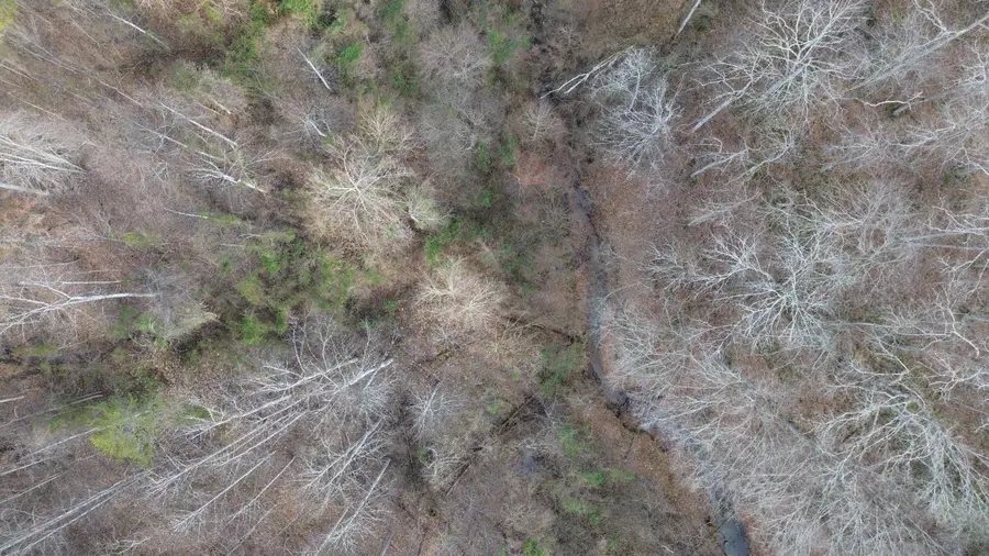 237A Meatscaffold Rd, Jackson, KY 41339 - Image #3