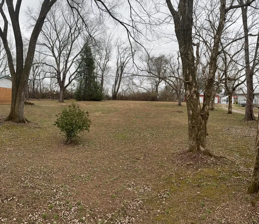 Lot 118-119 Oak Avenue, Somerset, KY 42501 - Image #3