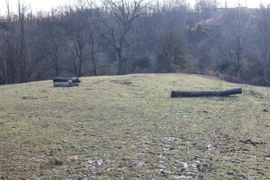 1-X Dixie Highway, Carlisle, KY 40311 - Image #3