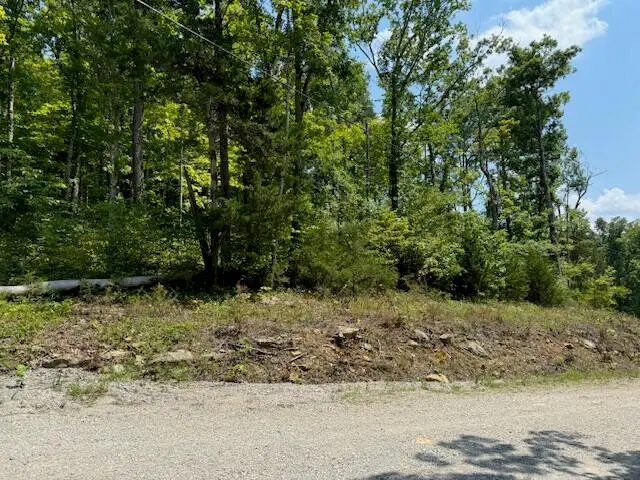 Lots 1-2-3-4 Dixie Bend Road, Burnside, KY 42519 - Image #2