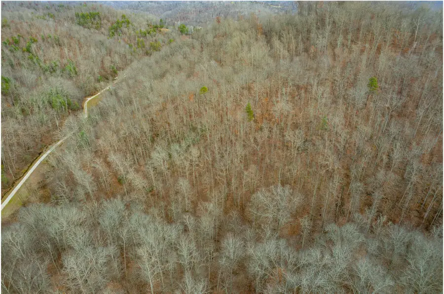 9999 Stable Branch Road, Salyersville, KY 41465 - Image #3