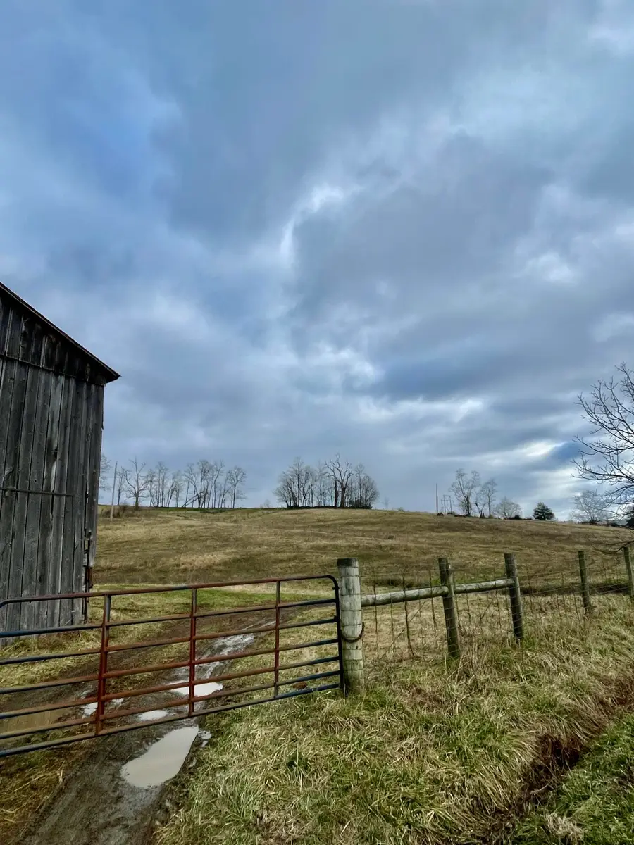 1699 Gillespie Road, Carlisle, KY 40311 - Image #2