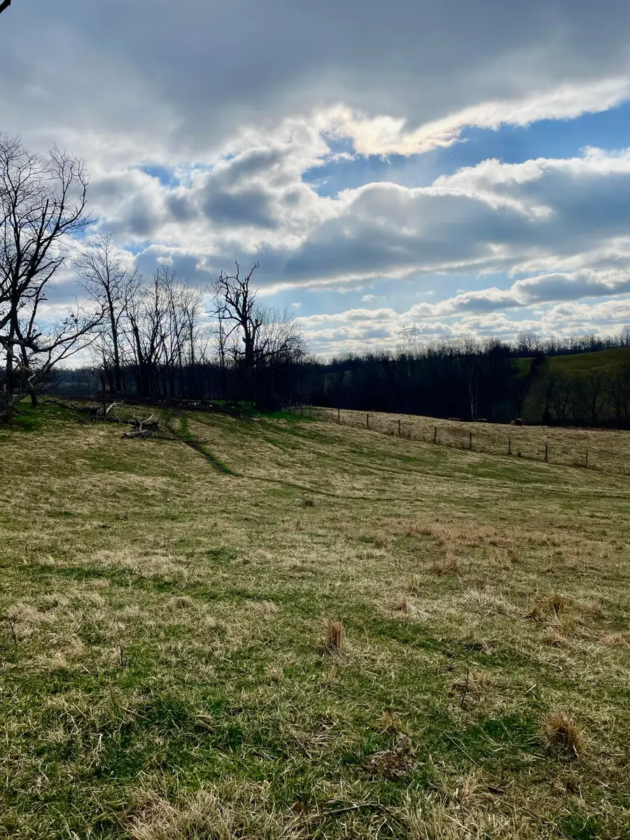 1699 Gillespie Road, Carlisle, KY 40311 - Image #3