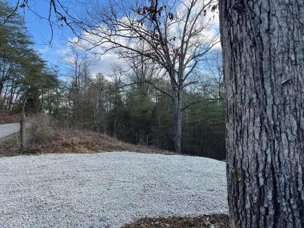 Lot 29 Lower Hollertop Road, Campton, KY 41301