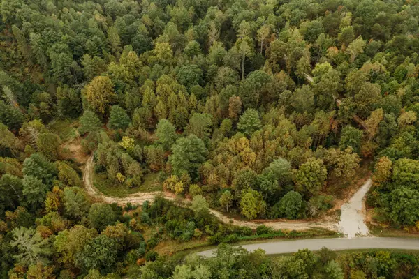 Lot 31 Lower Hollertop Road, Campton, KY 41301