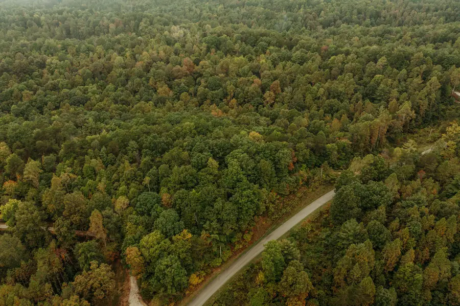 Lot 34 Lower Hollertop Road, Campton, KY 41301 - Image #3