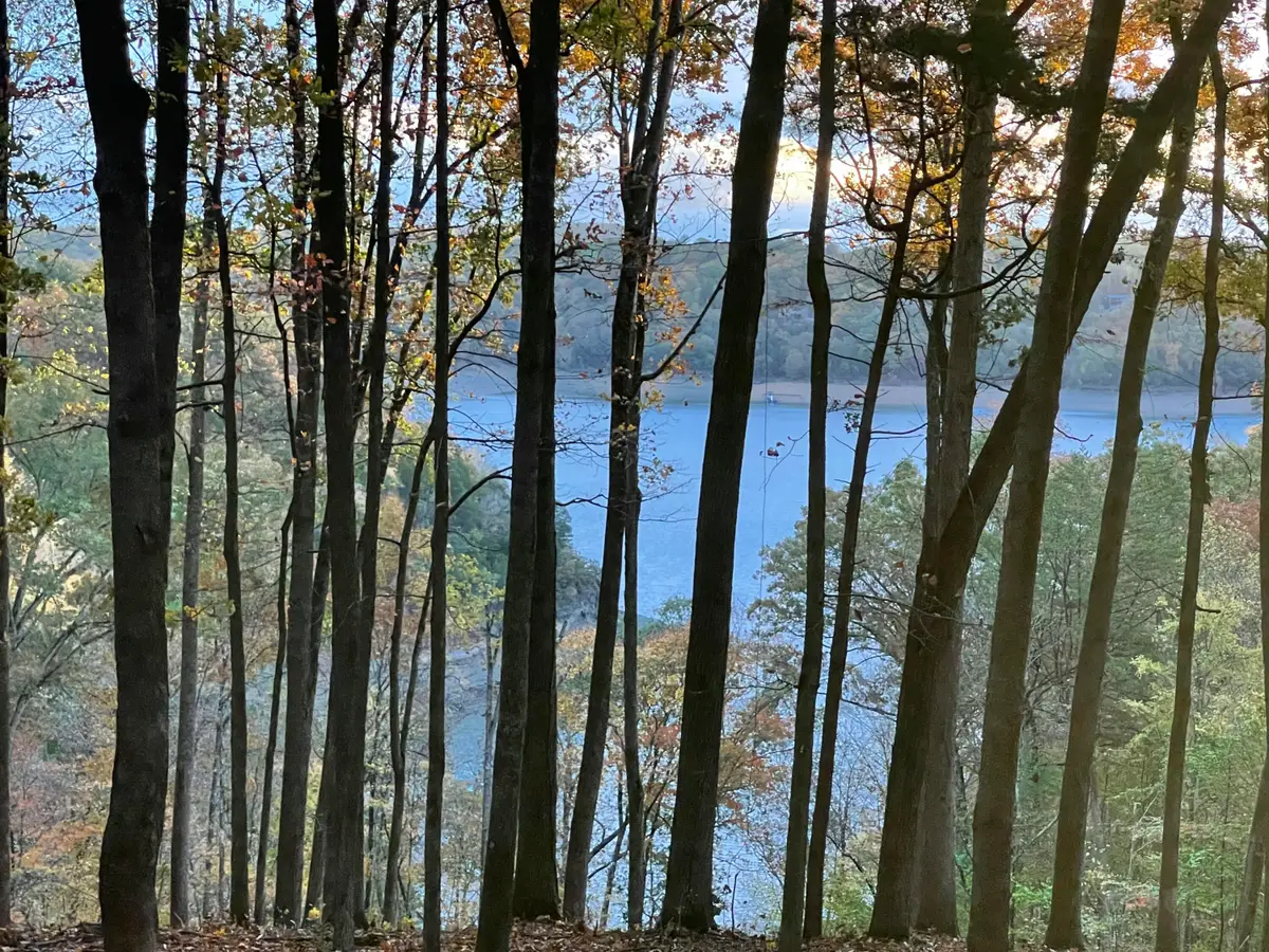 Tract 1 Hwy 196, Nancy, KY 42544 - Image #1