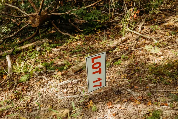 Lot 17 Hollertop Road, Campton, KY 41301