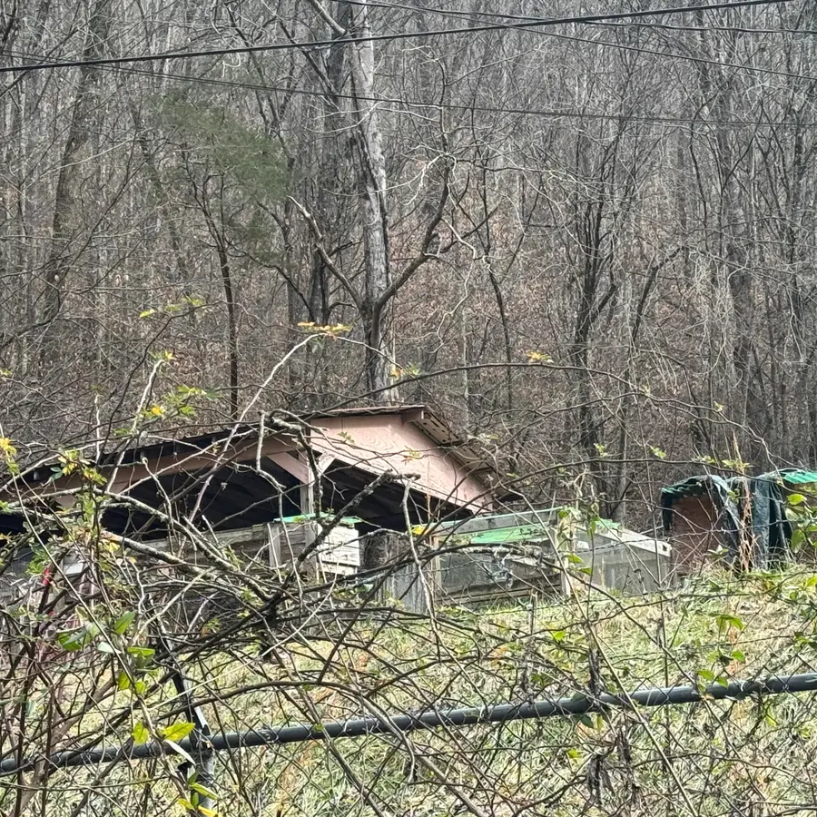 343 Otter Creek Road, Manchester, KY 40962 - Image #3